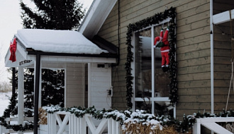 Альпака-терапия