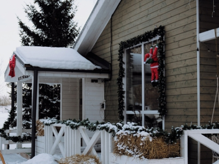 Альпака-терапия - Изображение 