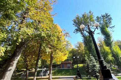 Ботанический сад в золоте осени