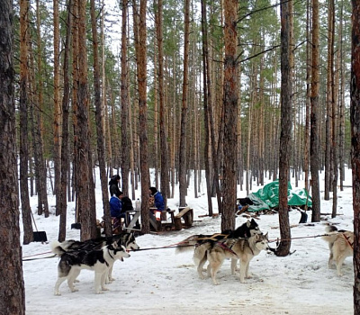 Масленица в  Маламут Ленд - Изображение 1