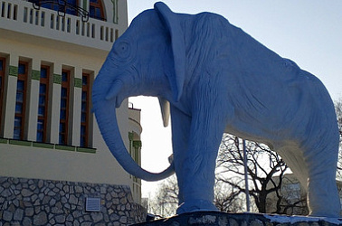 Дом со слонами